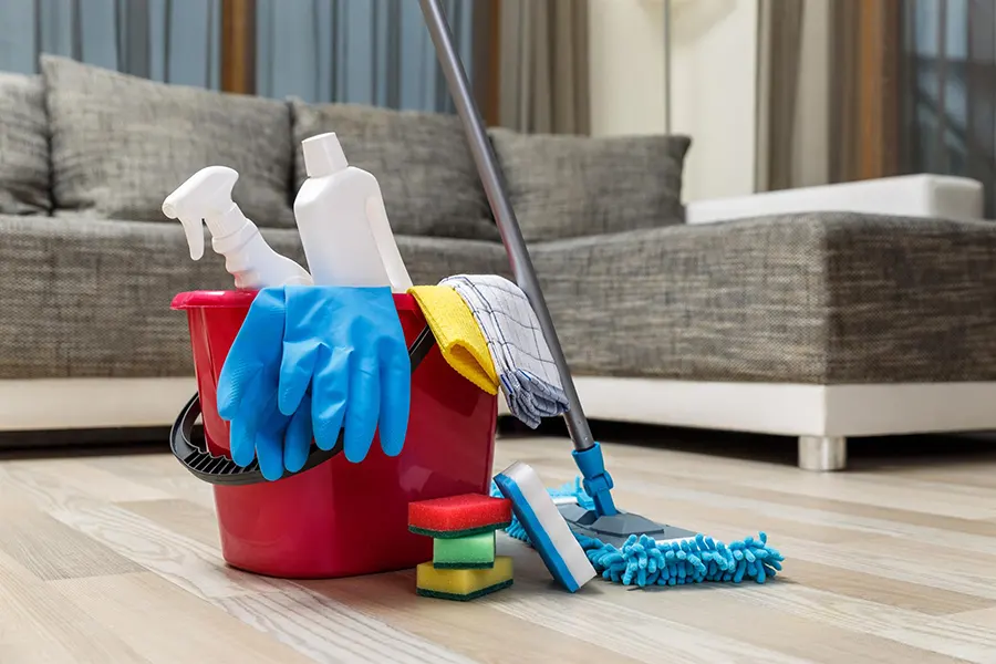 Marina's House Cleaning Services's Other Services